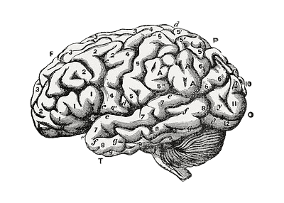 Vintage Brain